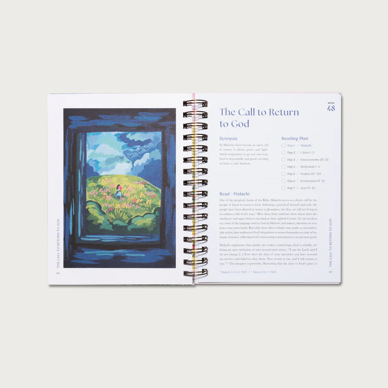 A Beautiful Year in the Bible: The 52-Week Bible Study for Women (Spiral Bound)
