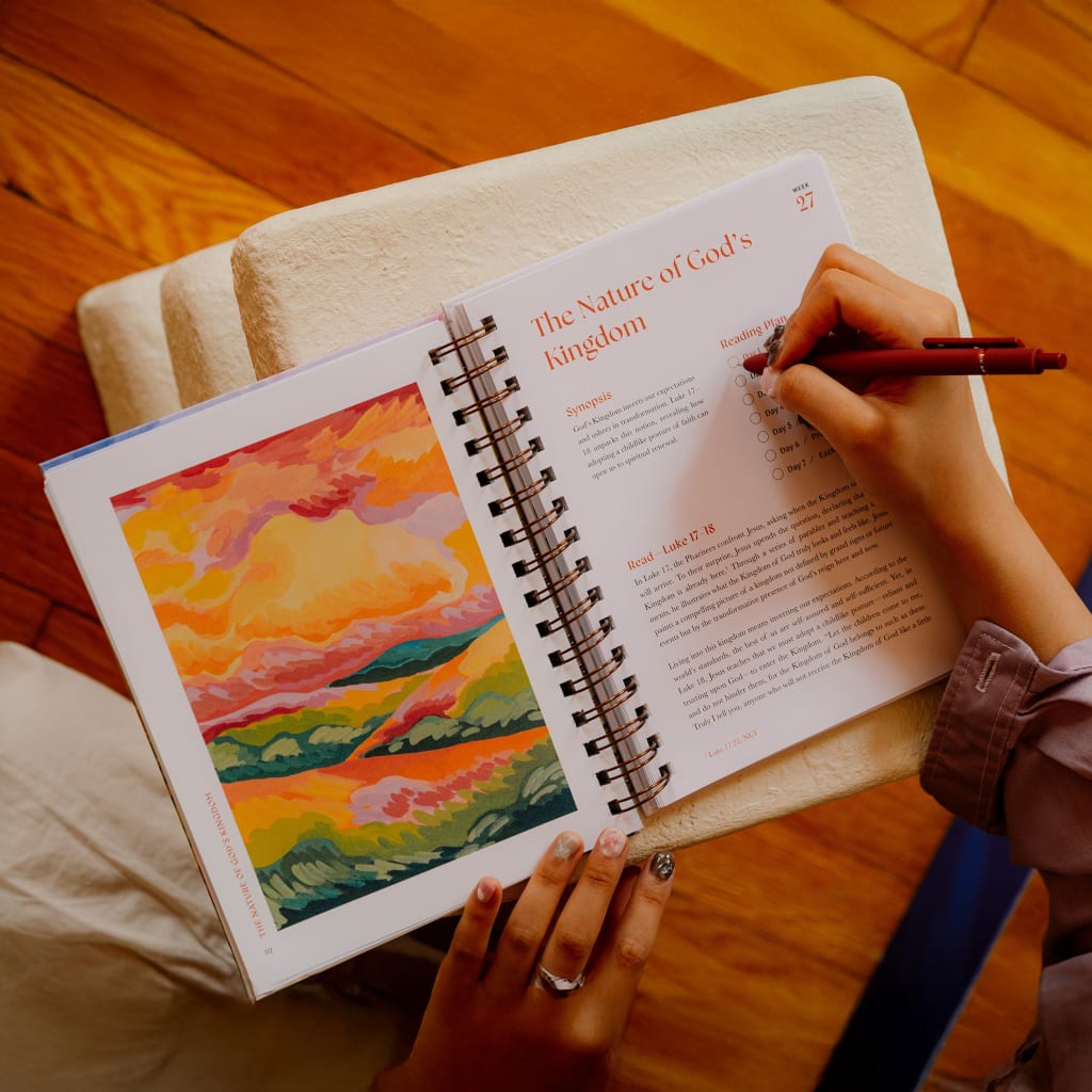 A Beautiful Year in the Bible: The 52-Week Bible Study for Women (Spiral Bound)