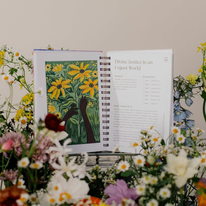 A Beautiful Year in the Bible: The 52-Week Bible Study for Women (Spiral Bound)